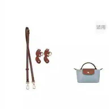 Longchamp Mini Bag Strap