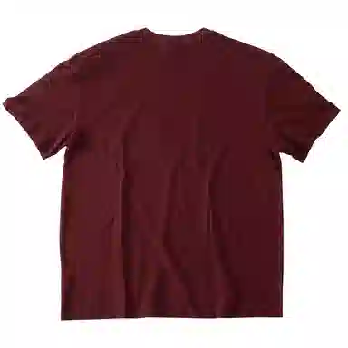 SANTASTIC T
