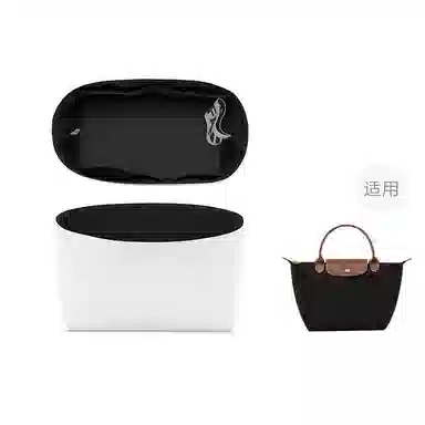 FANJI longchamp