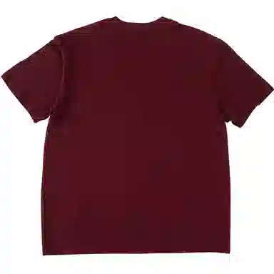 SANTASTIC T