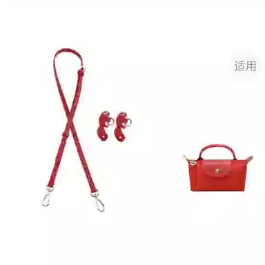 Longchamp Mini Bag Strap