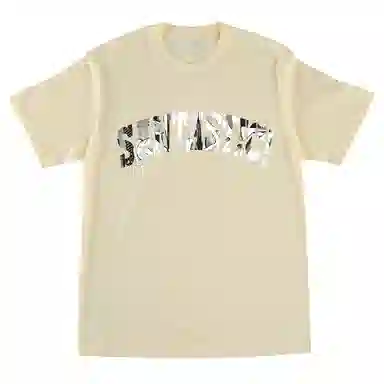 SANTASTIC T