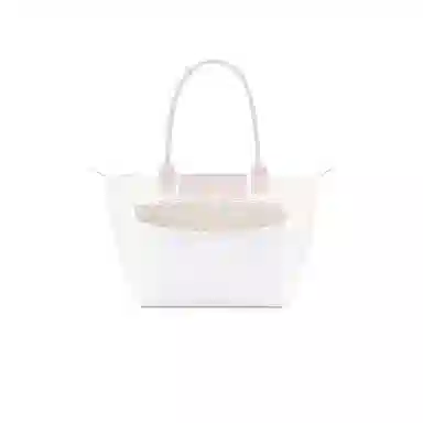 FANJI longchamp