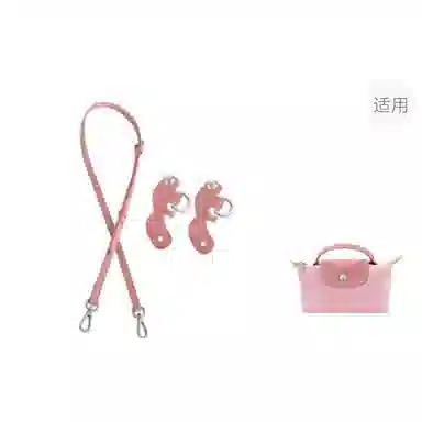 Longchamp Mini Bag Strap