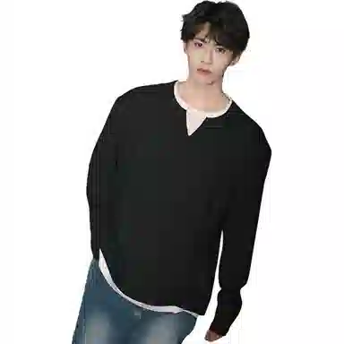SIL VITIN V T