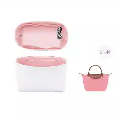 FANJI longchamp