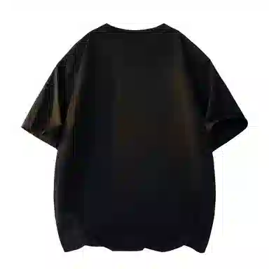 RTVH T