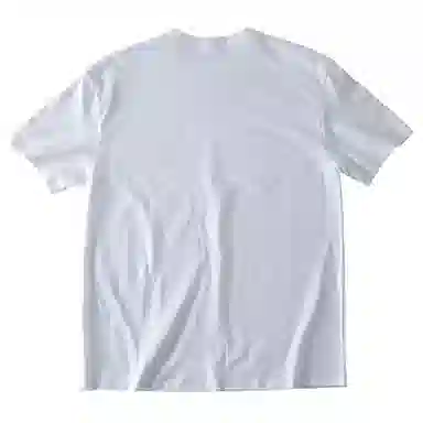 SANTASTIC T