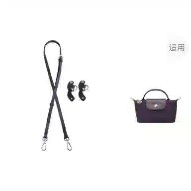 Longchamp Mini Bag Strap