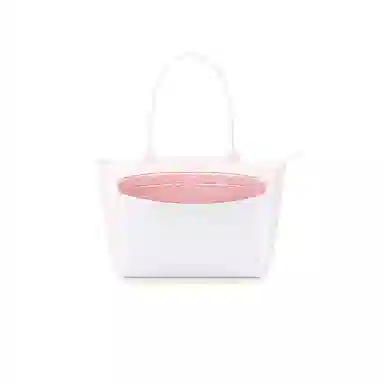 FANJI longchamp