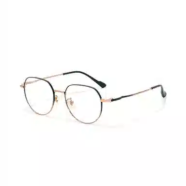PARMU Silver Titanium Optical Frame