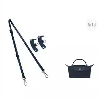 Longchamp Mini Bag