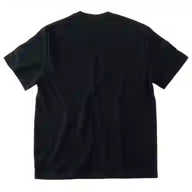 SANTASTIC T