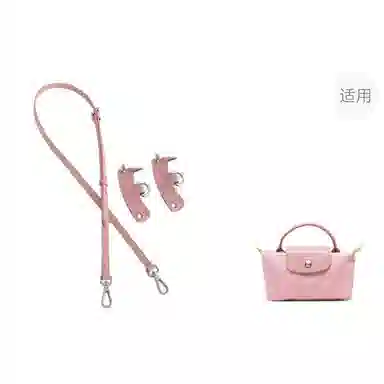Longchamp Mini Bag