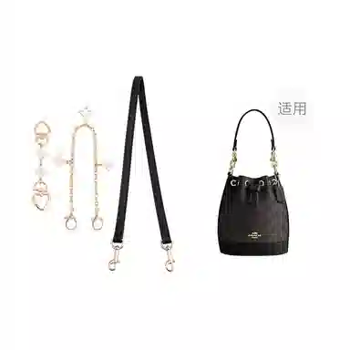 COACH Dempsey1415mini
