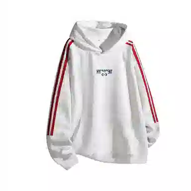 HYPASCENT Hoodie