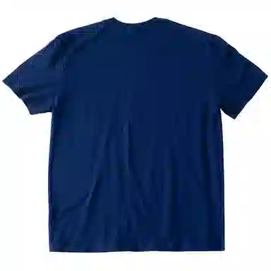 SANTASTIC T