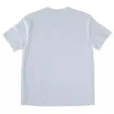 SANTASTIC T