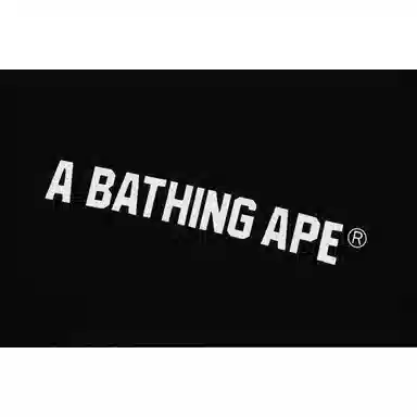A BATHING APE Hoodie