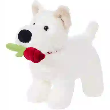 The Green Party 20cm