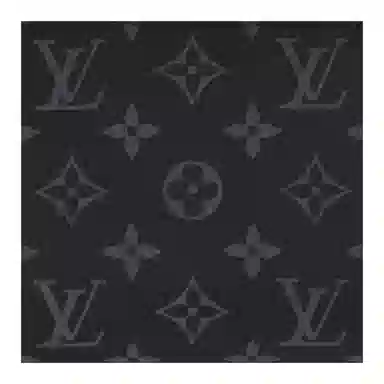 LOUIS VUITTON Steamer