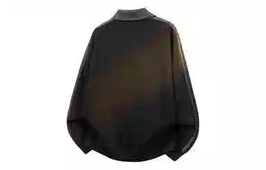 ALI THE FOX LogoPolo