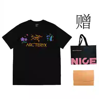 Arcteryx ARC'WORD LOGO