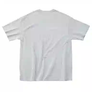 SANTASTIC T