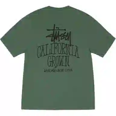 Stussy FW25 SS25 CALI GROWN TEE PIGMENT DYED logoT