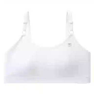 二三二三 运动聚拢有型防下垂亲肤柔软无痕侧收副乳抗菌松弛感美背简约日常无钢圈可调节肩带文胸 女款
