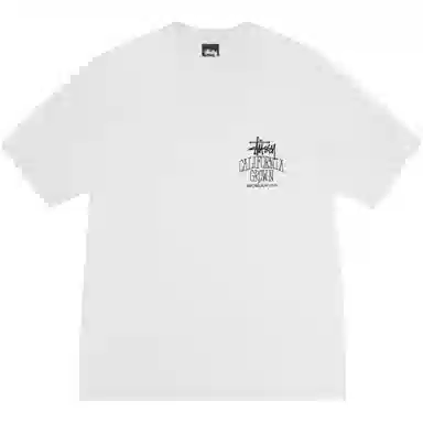 Stussy FW25 SS25 CALI GROWN TEE PIGMENT DYED logoT