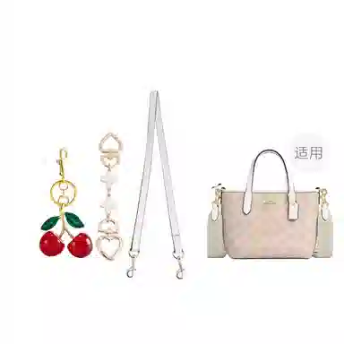 coachcity15 miniTote