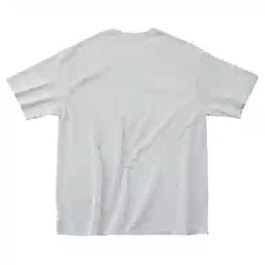 SANTASTIC T