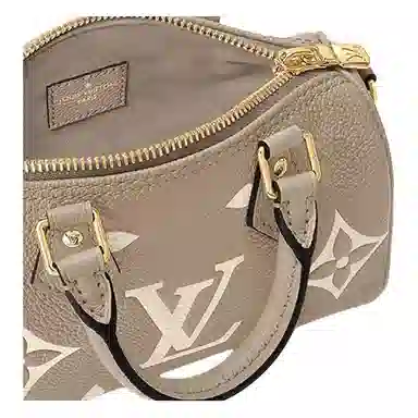 Louis Vuitton Speedy Nano