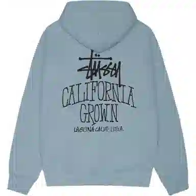 Stussy FW25 SS25 CALI GROWN ZIP HOODIE logo