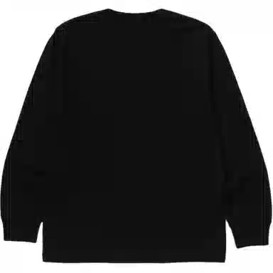 A BATHING APE FW25 FW25 T