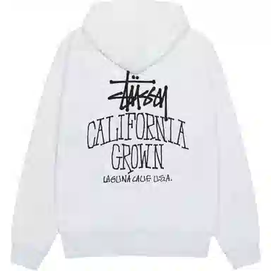 Stussy FW25 SS25 CALI GROWN ZIP HOODIE logo