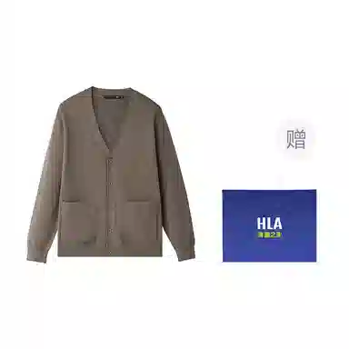 HLA V