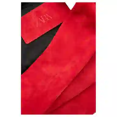 ZARA LIMITED EDITION