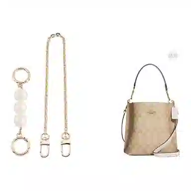 COACH Mollie BUCKET 22