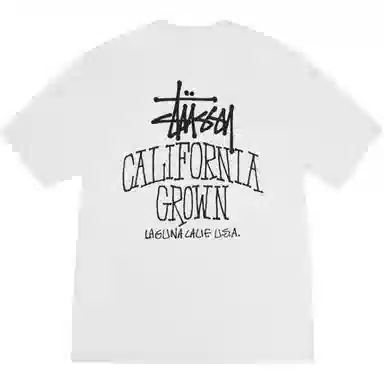 Stussy FW25 SS25 CALI GROWN TEE PIGMENT DYED logoT