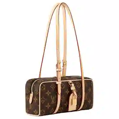 LOUIS VUITTON HANG ON Monogram