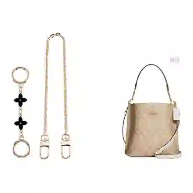 COACH Mollie BUCKET 22