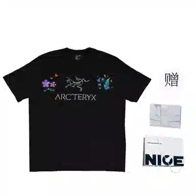 Arcteryx ARC'WORD LOGO