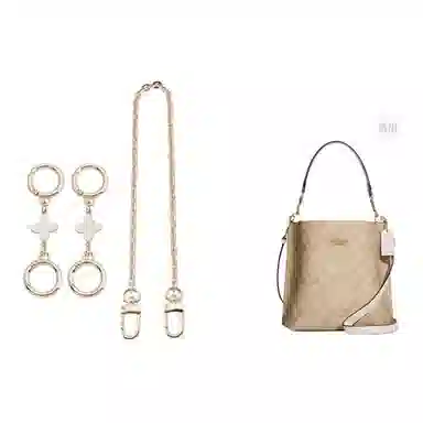 COACH Mollie BUCKET 22