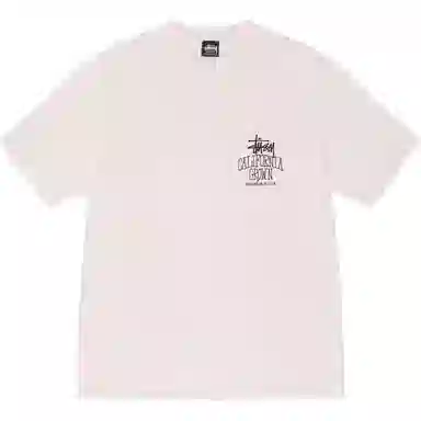 Stussy FW25 SS25 CALI GROWN TEE PIGMENT DYED logoT