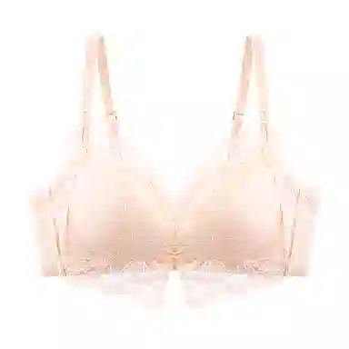 二三二三 纯欲蕾丝透气吸汗聚拢塑型防下垂亲肤柔软舒适氛围感美背时尚日常百搭无钢圈可调节肩带文胸 女款