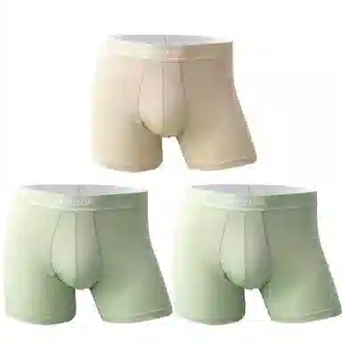 Airbum Underwear 3