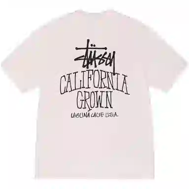 Stussy FW25 SS25 CALI GROWN TEE PIGMENT DYED logoT