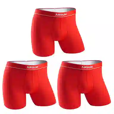 Airbum Underwear 3